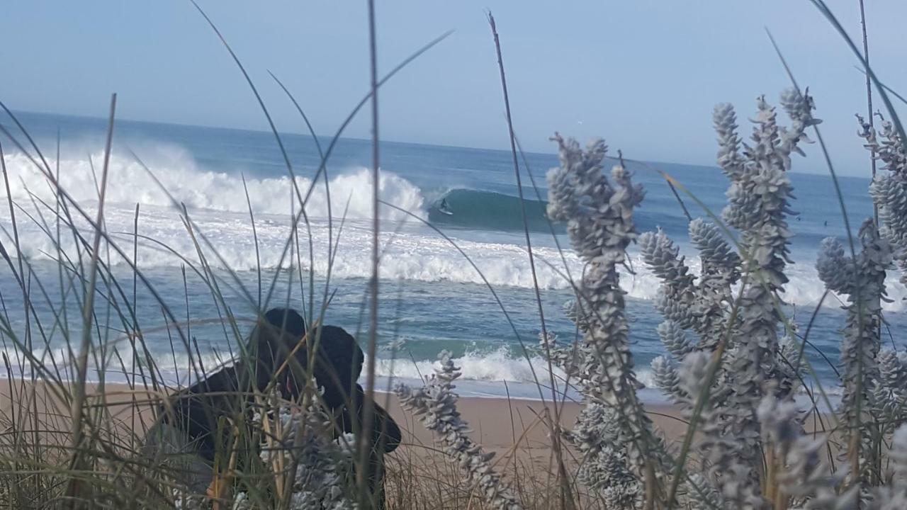 Ostello Pineapple Surf House Atouguia Da Baleia Esterno foto